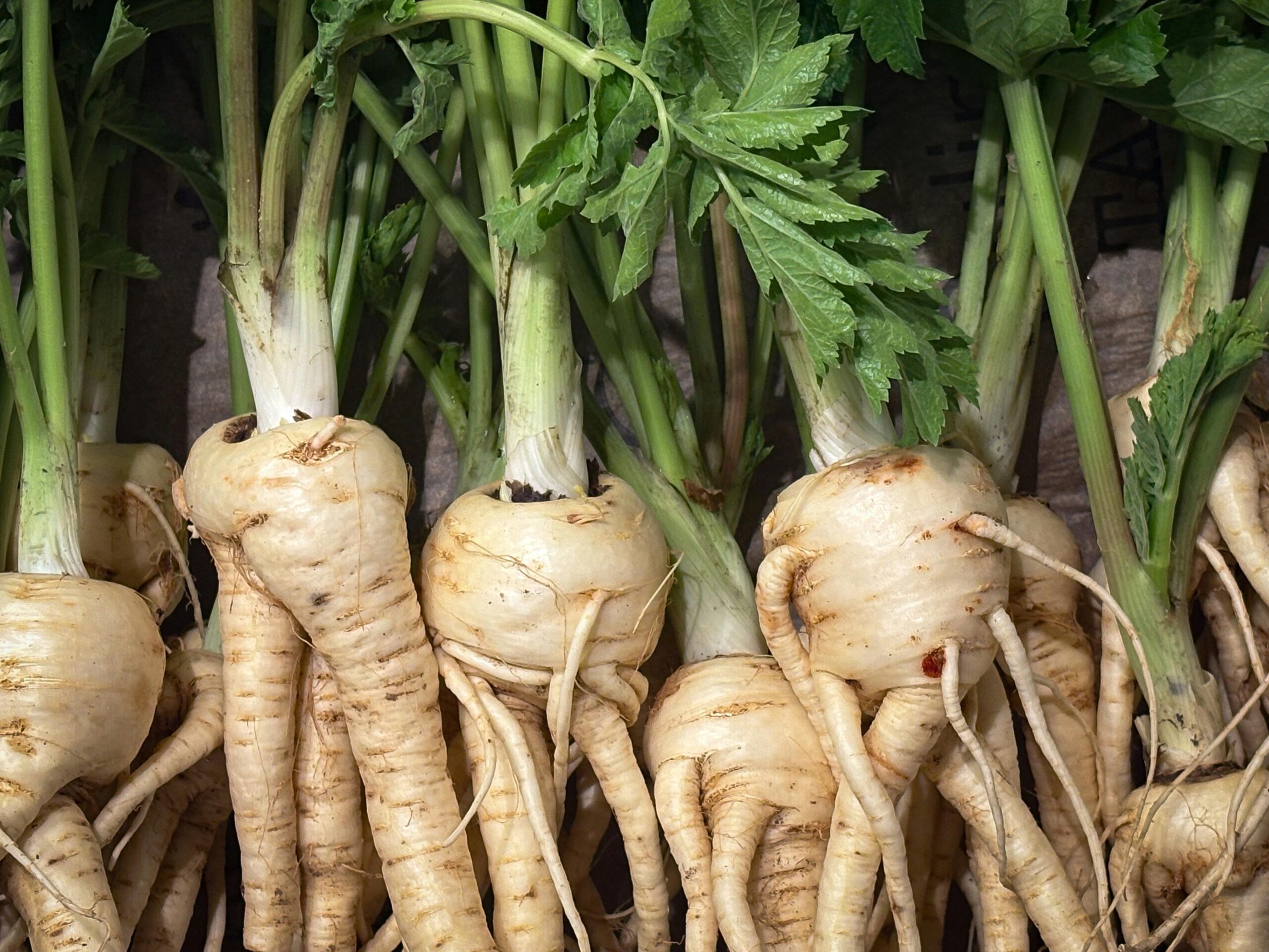 Close-up of fresh parsnips with leafy green tops, showcasing organic produce at a market.